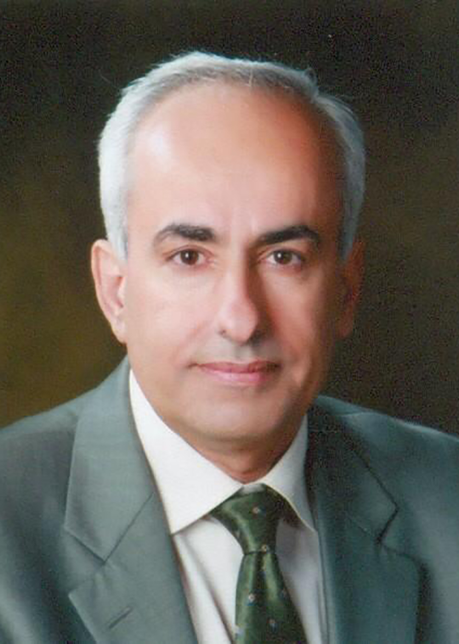 الأستاذ الدكتور بسام ملكاوي